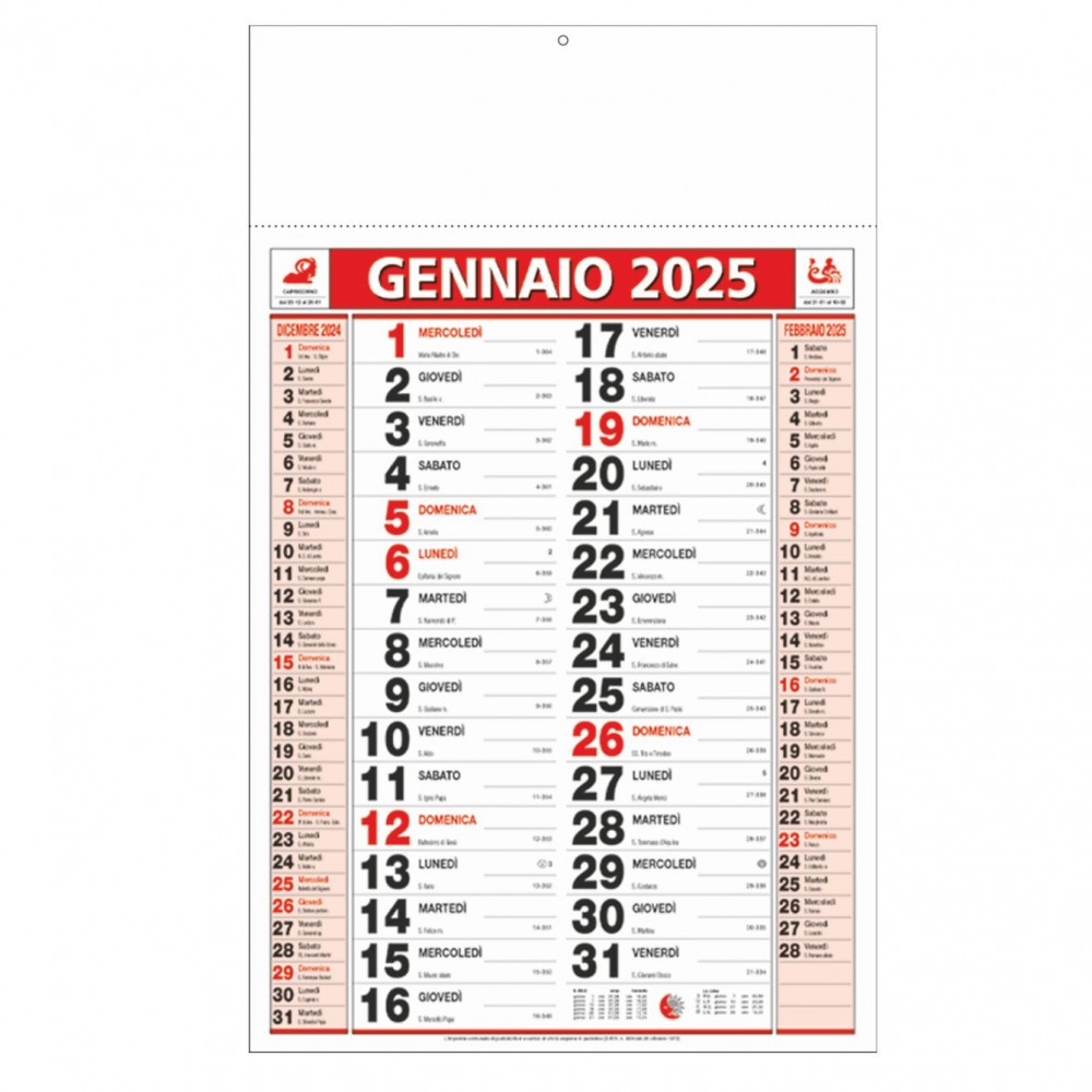 Calendario Olandese da parete 29x47 12 fogli