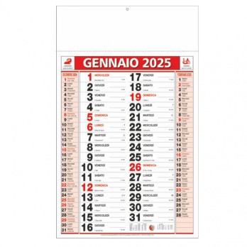 Calendario Olandese da parete 29x47 12 fogli